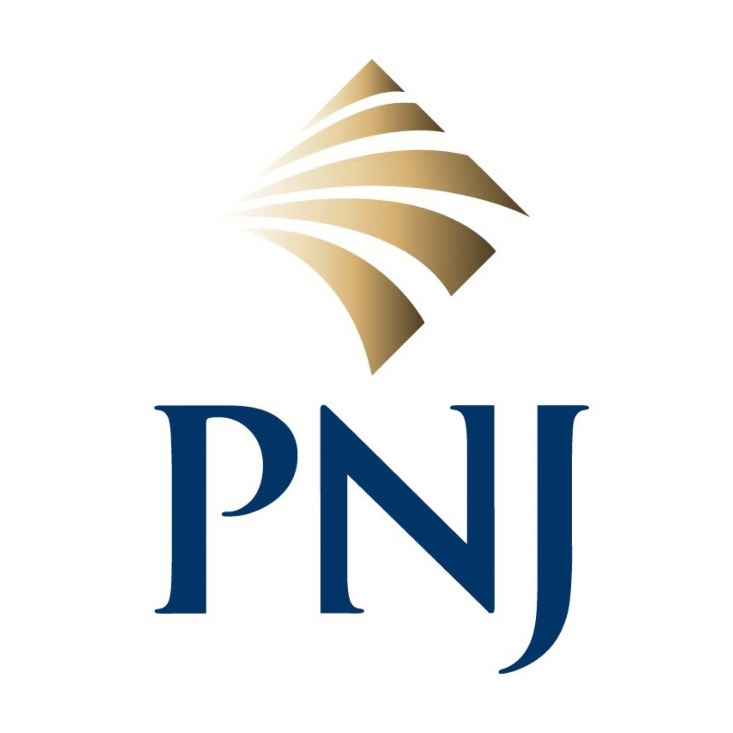 logo doi tac pnj scaled