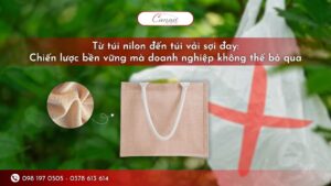 tu-tui-ni-long-den-tui-vai-soi-day-chien-luoc-ben-vung-ma-doanh-nghiep-khong-the-bo-qua