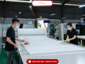Túi Canvas Thân Thiện Môi Trường Cho Chiến Dịch Bảo Vệ Đại Dương 5 Xuong-may-tui-vai-Canavi