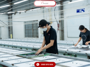Top Các Mẫu Túi Vải Mùa Hè Được Doanh Nghiệp Lựa Chọn Nhiều Tại Canavi 5 xuong-in-tui-vai